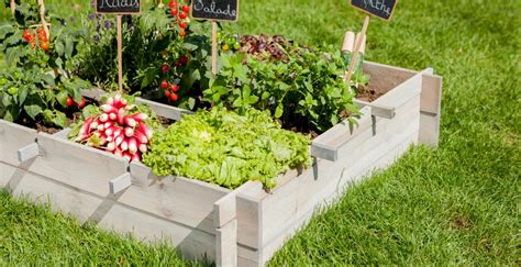 jardin-responsable-maison-potager