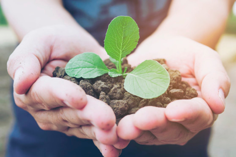 ecologie-agriculture durable