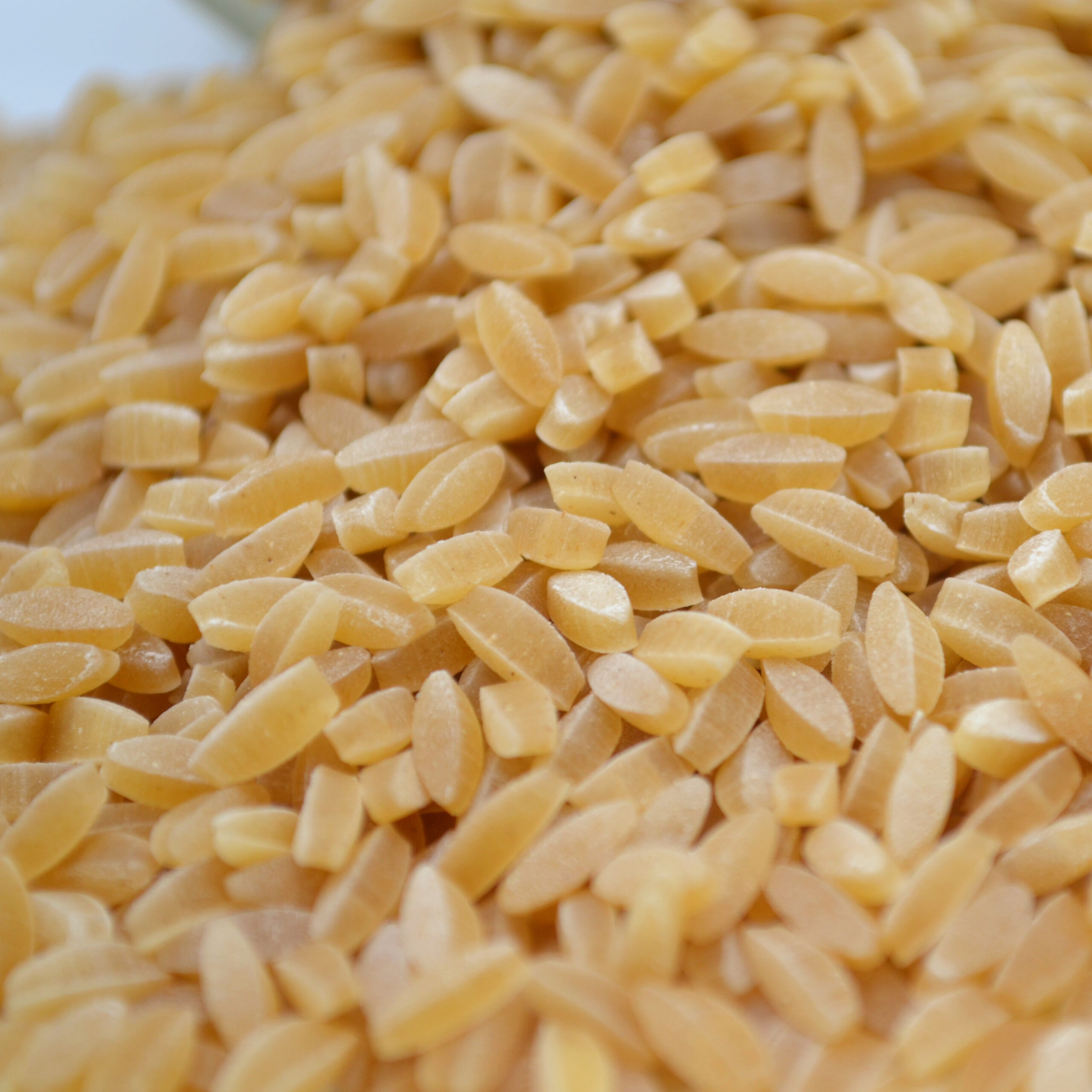 Pâtes Risoni – Vrac 1kg – Image 2